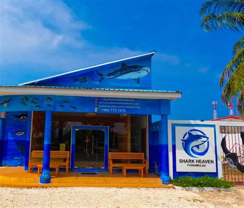 SHARK HEAVEN FUVAHMULAH (2026) All You SHOULD Know Before Going (with ...