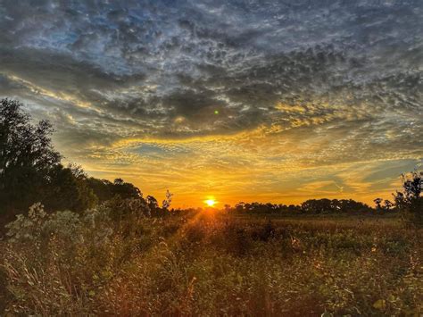 Catch me if you can 5k, Police Center Dr, Plant City, FL 33566, United ...