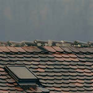 Why You Should Avoid Putting Shingles on a Flat Roof: Understanding ...