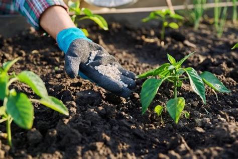 FAO Expects Fertilizer Prices to Stay Elevated Through 2026 Despite ...