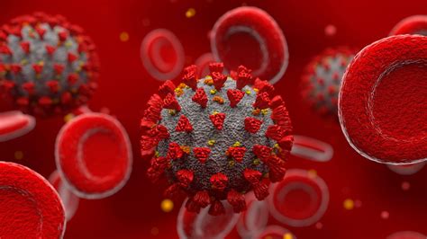 Rheumatic Disease Drugs Help COVID Virus Stick Around Longer, Study ...