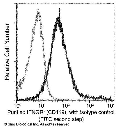 Anti-IFNGR1 Rabbit Monoclonal Antibody [clone:062] FITC (Fluorescein ...