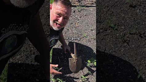 What happens to buried fish waste after 4 months in the garden?