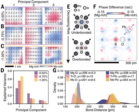 Bridging experiment and theory of relaxor ferroelectrics with multislice electron ptychography ...