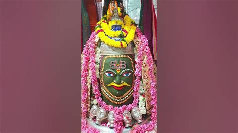 आया तेरे दर पर दीवाना 🙏🙏🙏🙏#ytshorts - YouTube