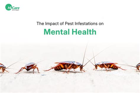The Impact of Pest Infestations on Mental Health – HiCare (A Rentokil ...