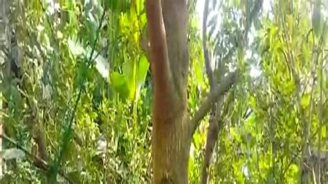 South 24 Parganas News: সহজেই কোটি টাকার মালিক হতে চান? আপনার জন্য রইল ...