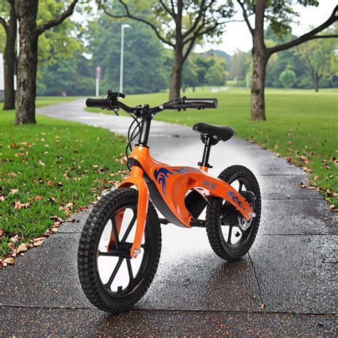 How to Choose the Best 18 Inch Electric Kids Bike: A Complete Buying Guide