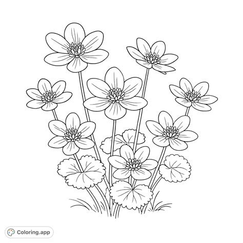 Wetland Flowers Bloom - Coloring.app