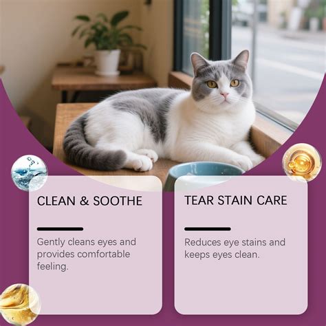 Best price for EELJOY Pet Eye Drops Cats and Dogs Dry Eyes Moisturizing Care Eye Tears Cleansing ...