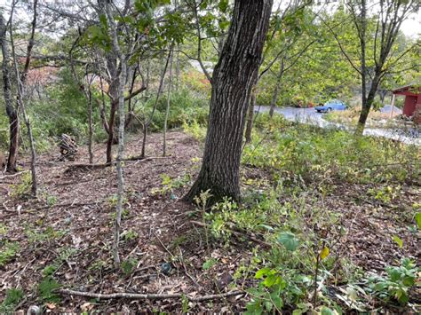 National Invasive Species Awareness Week - Brunswick-Topsham Land Trust