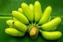 PetalPath Banana Plant Price in India - Buy PetalPath Banana Plant ...