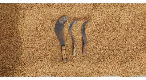 winzo login Methods Toolbox