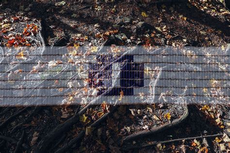 Sa:gwáyoˀ Gayogo̱hó:nǫˀ / Cayuga People Returned