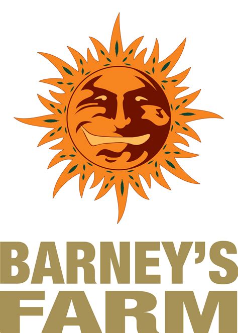 Glookies feminisiert - Outdoor-Rekord bis 3000 g/Pflanze