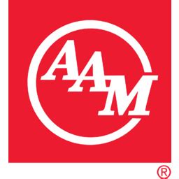 American Axle & Manufacturing - 10-K annual report 2019