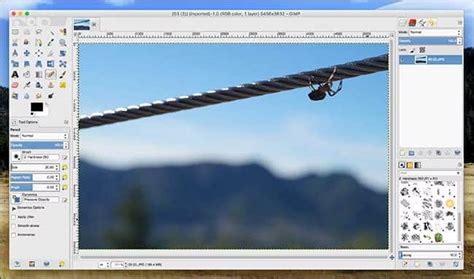 사진 라이브러리를 깔끔하게 정리하고 저장하는 데 가장 유용한 무료 앱 | 스위트 홈