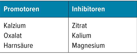 „Low-carb“, „high-protein“ oder vegane Ernährung: Risiko oder Benefit ...