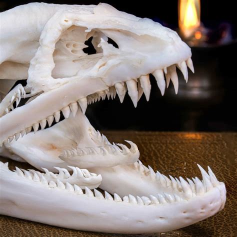 After rewatching the latest trailer a few times, I noticed one more ...