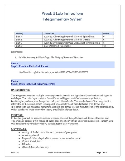 BIOS251 Week 5 Lab: Integumentary System Slide Observations - Studocu