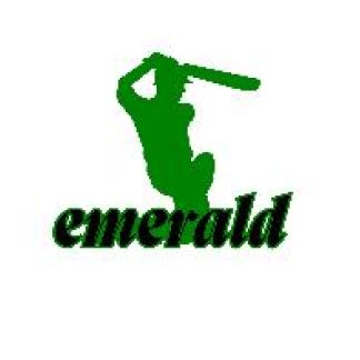 Emerald Cockroach Wasp 的图像结果