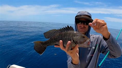 This fish can slice your hand open in seconds