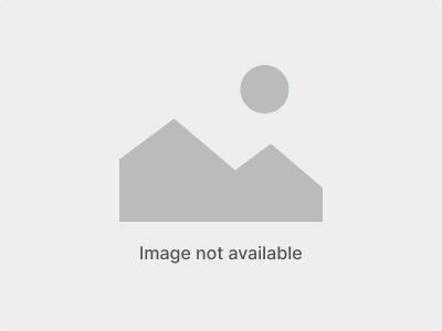 NVIDIA RTX Pro 6000: 600W 96GB 2 Slot (CAI-GPU-RTXP6000) verslui | Atea ...