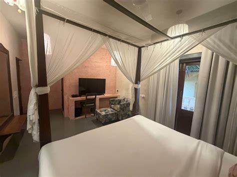 Spacious 1Bhk In the sea - Houses for Rent in Morjim, Goa, India - Airbnb