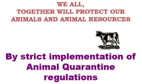 Animal Quarantine and Certification Service