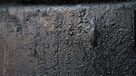 Mysterious black goo discovered aboard ship reveals species unknown to science