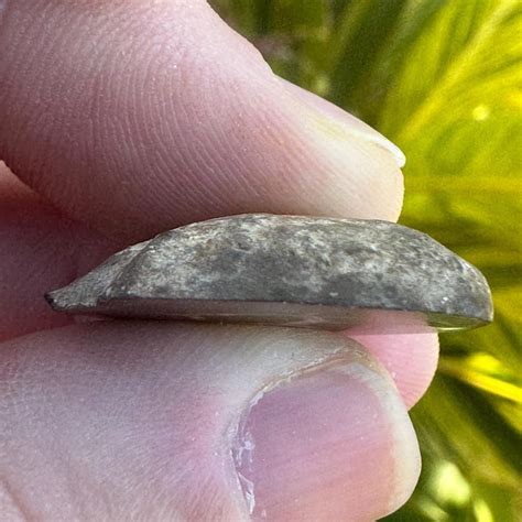 Septarian Nodule From Morocco | Polished Dragon Stone Fossil Specimen ...