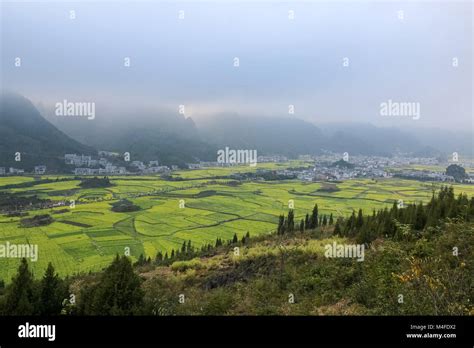 Yunnan flowers hi-res stock photography and images - Alamy