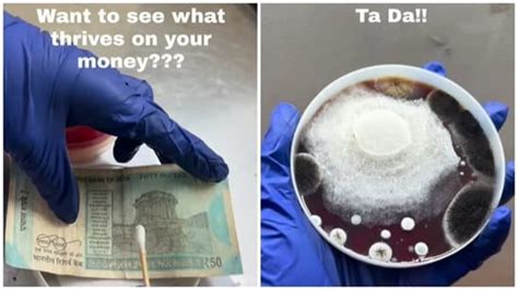 Microbiologist reveals your money is dirtier than you think in shocking ...