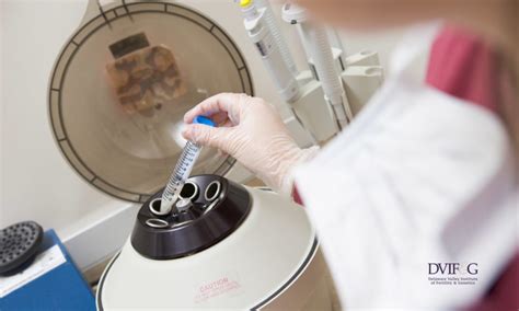 Blog · Fertility Doctor · Delaware Valley Institute of Fertility ...