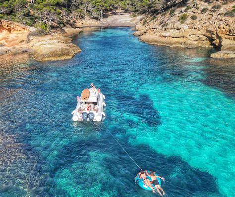 THEBLUEIGUANA (2026) All You Need to Know BEFORE You Go (with Photos ...