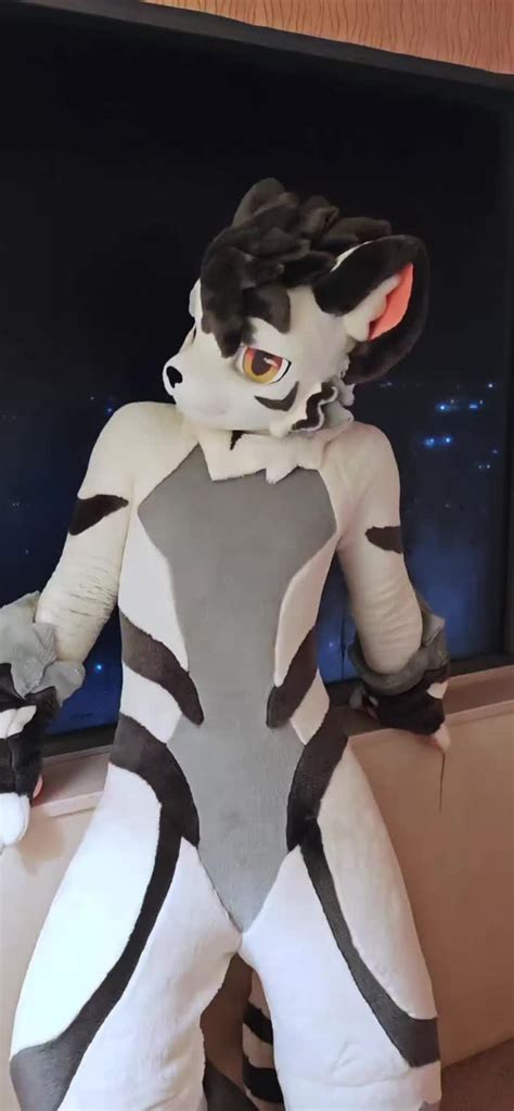 I accept custom orders for fursuit.Check my furheads on my web. The we ...