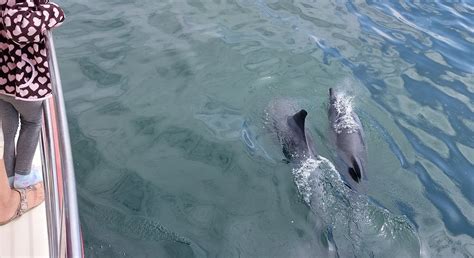 SEAPOINT SELF CATERING (Langstrand) - Apartment Reviews & Photos ...