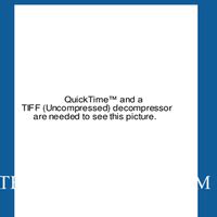 The Nervous System - PowerPoint Presentation, Science, Class 10 PDF ...