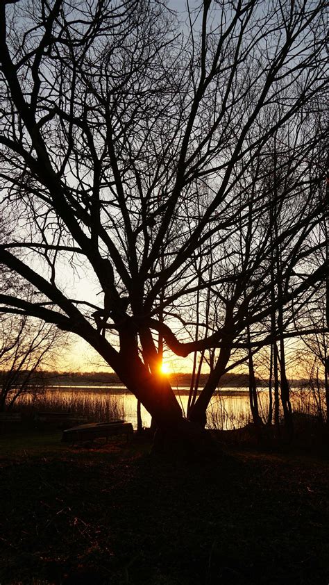 New York State Is Curious About This Strange "Beep" Sound