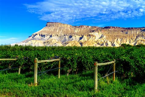 America's Coolest Desert Town Is Found In Colorado