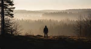 Into the wild: 9 animals hunters must watch for