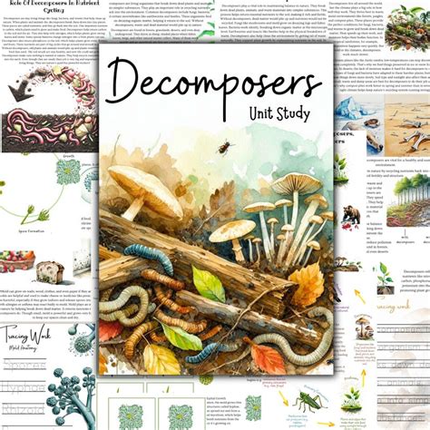 Earthworms for Compost - Etsy