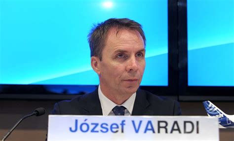 Wizz Air gives investors better news on profit | Business Post