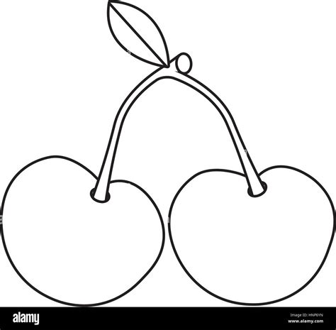 Fruit line drawing Black and White Stock Photos & Images - Alamy