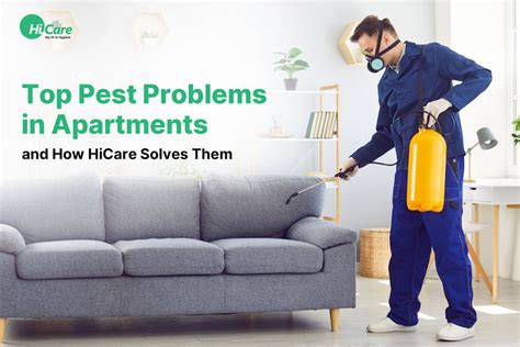 Top Pest Problems in Apartments and How HiCare Solves Them – HiCare (A ...