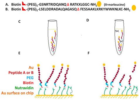 Biosensors | September 2017 - Browse Articles