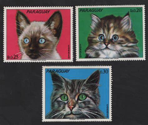 SCG12318 - Paraguay 1970s Kittens Series – Domestic Cat Portrait Set ...