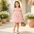 XAOFW Girls Dresses Sleeveless Flower Embroidered Mesh Dance Dress ...