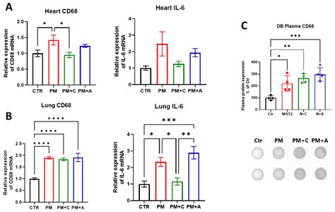 Angiotensin-Converting Enzyme (ACE) Inhibitors and Statins Mitigate ...