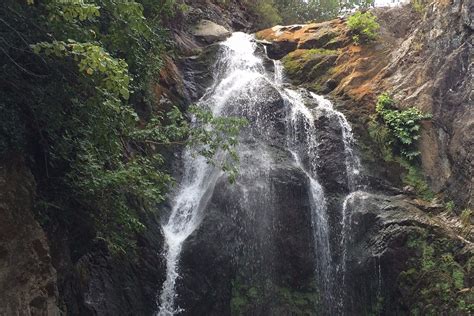 MESE BUNGALOV (Termal) - Hotel Reviews & Photos - Tripadvisor